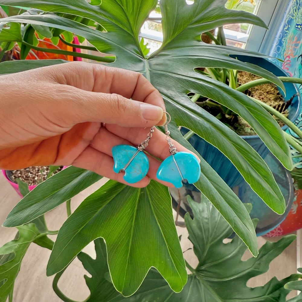 Magnesite Earrings